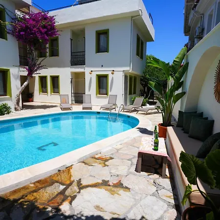 The Dalyan's ダルヤン