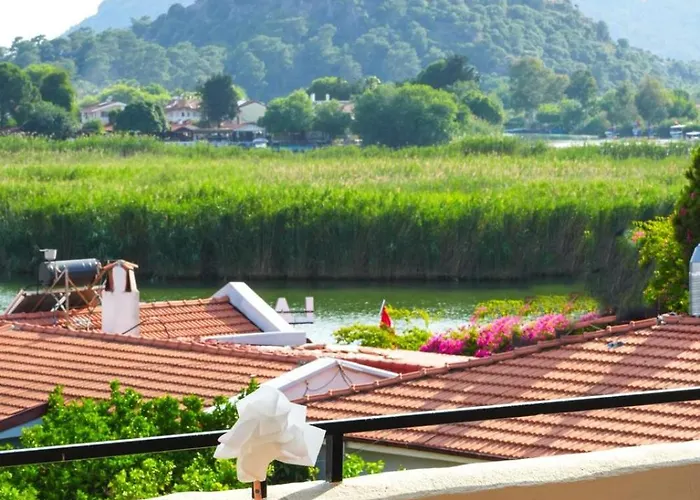 The Dalyan's * 达利安