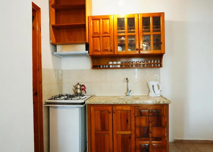 公寓式酒店 The Dalyan's 达利安